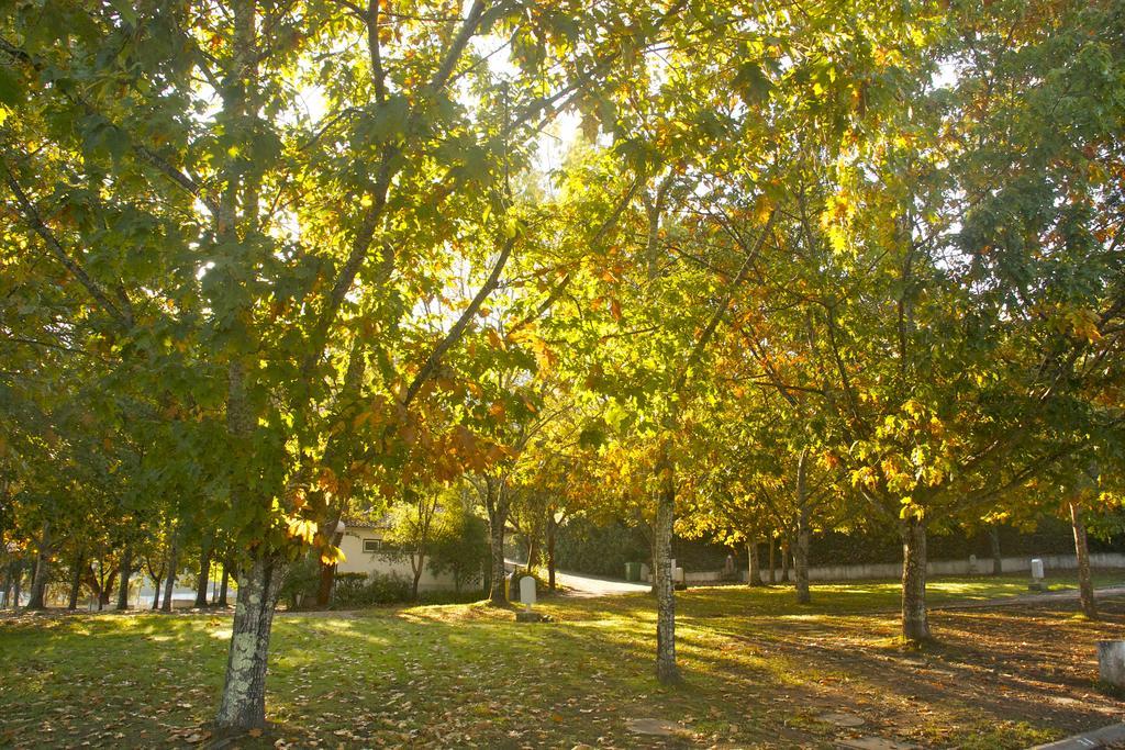 Gois Camping Esterno foto